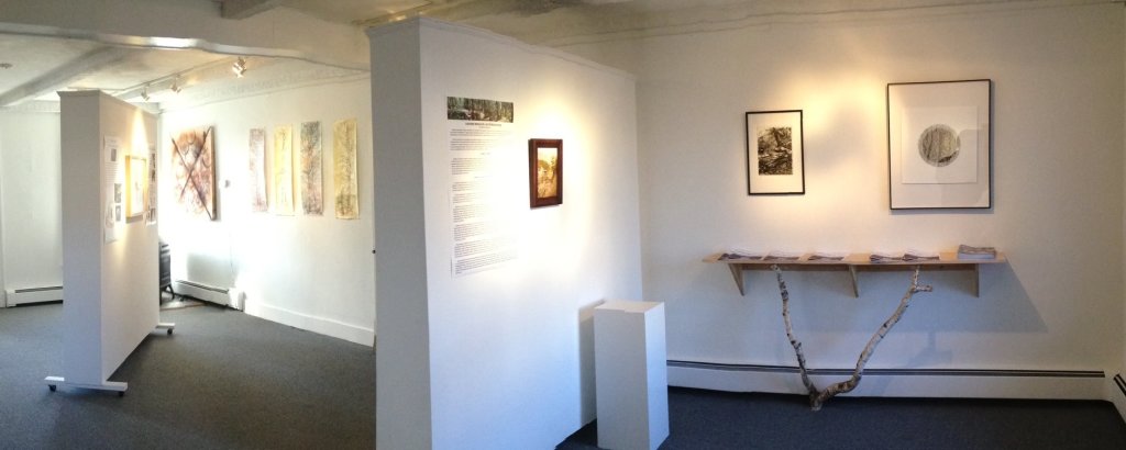  Hemlock: The Backbone of the Catskills Exhibit