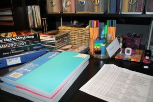 College Study Area SUNY Ulster