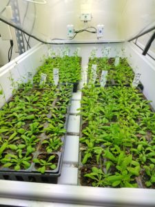 copy-of-20160620_103819