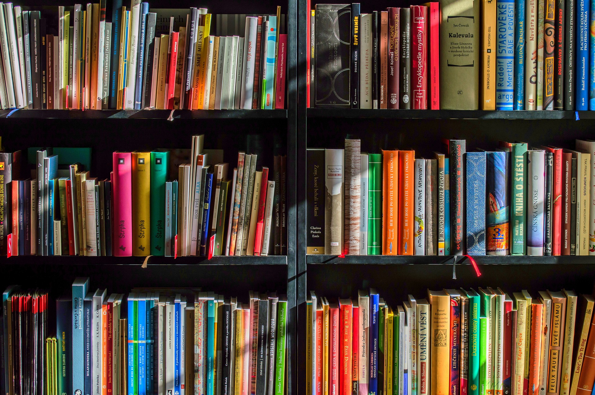 Books line a shelf of various sizes and colors