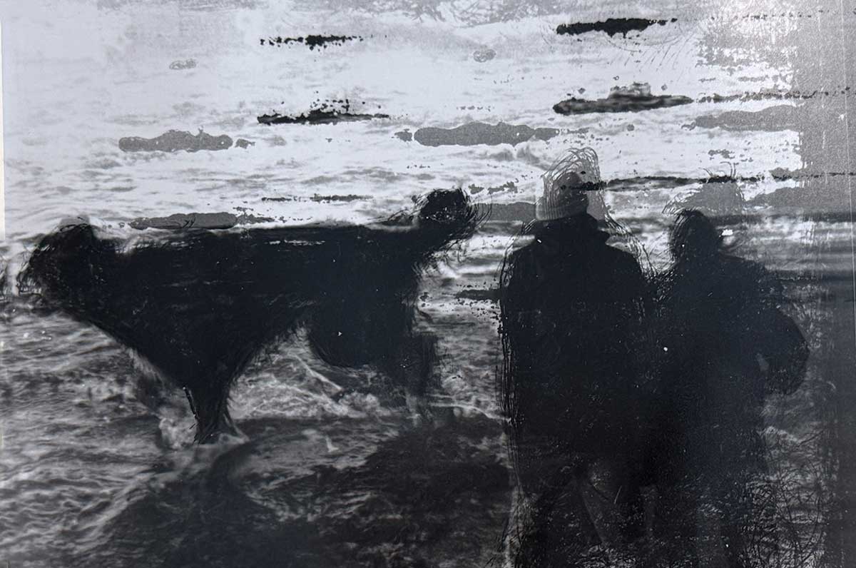 photograph by Camille McMillan titled 'Shoreline'